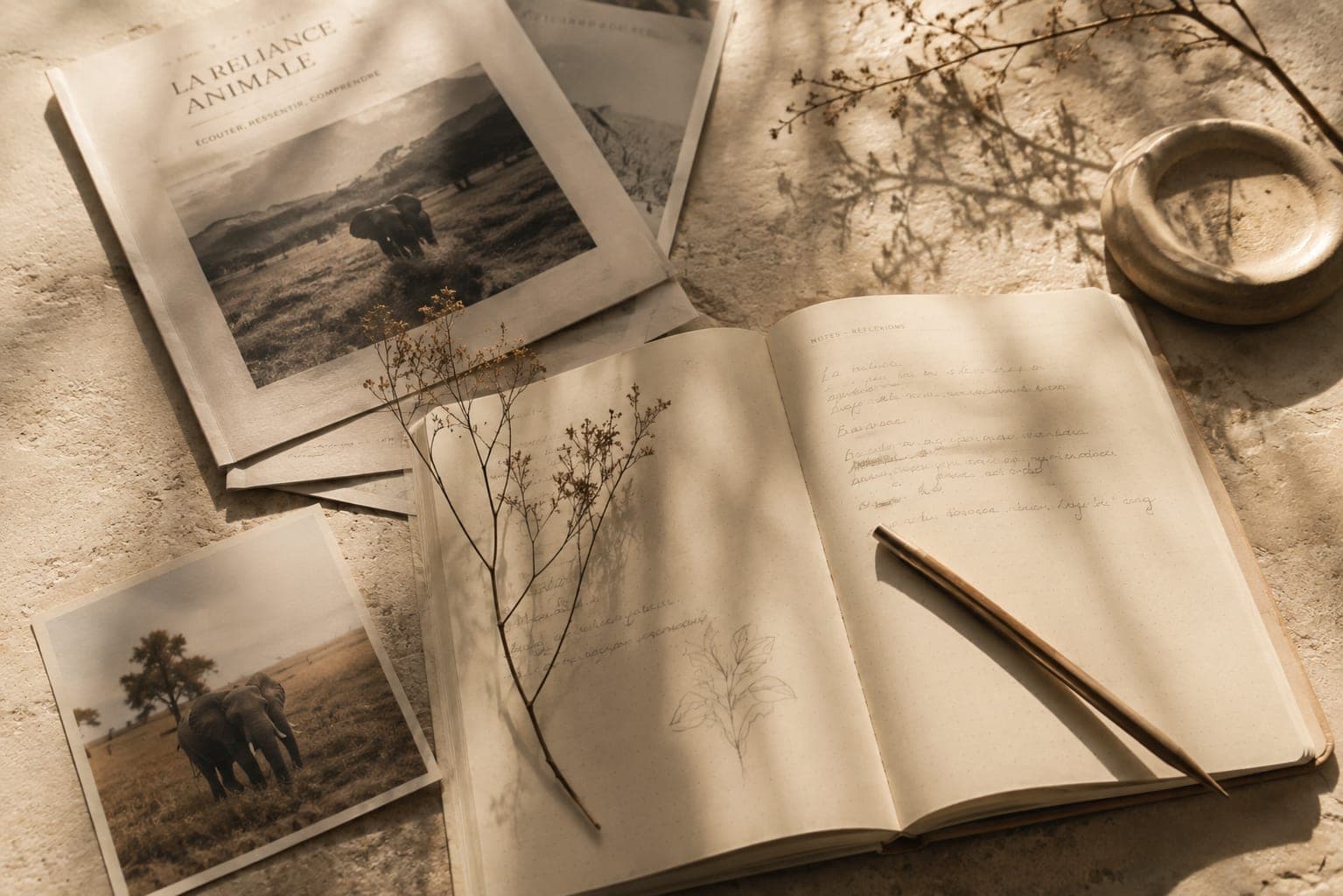 Un carnet ouvert et une revue illustrée, posés sur une table claire