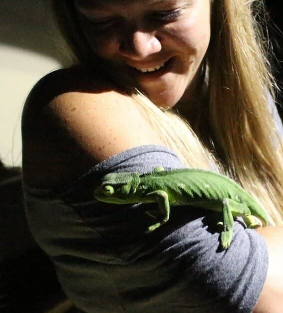 Léa souriante, un caméléon vert posé sur son bras