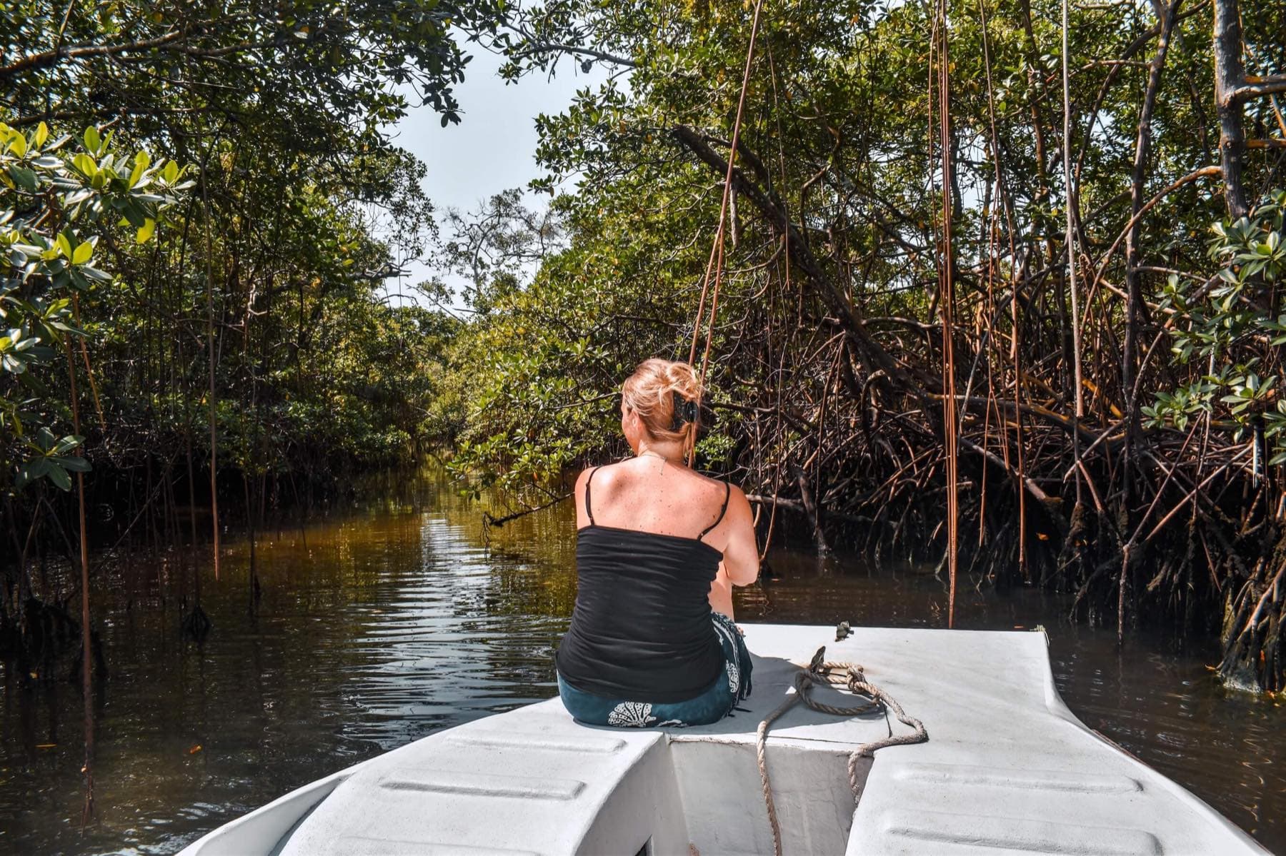 Léa assise à la proue d'une barque, glissant entre les palétuviers d'une mangrove