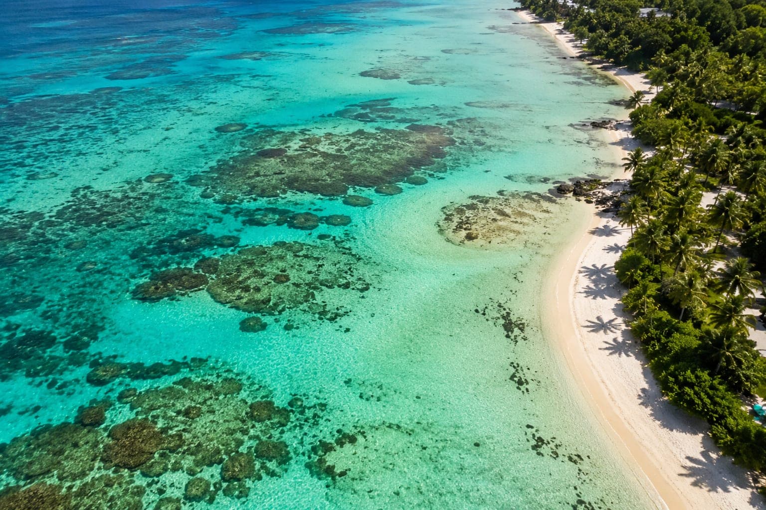 Un récif corallien sous une eau turquoise, la lumière filtrant depuis la surface